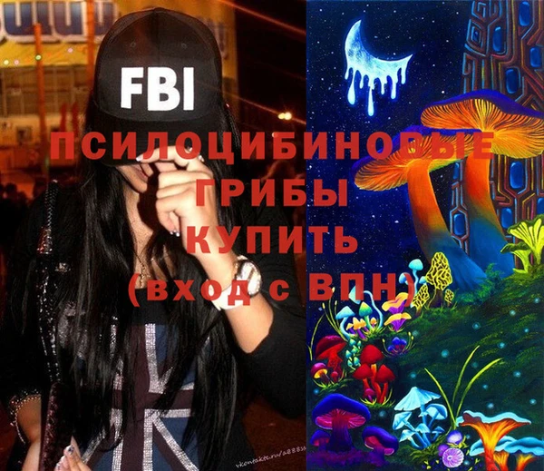 винт Верея